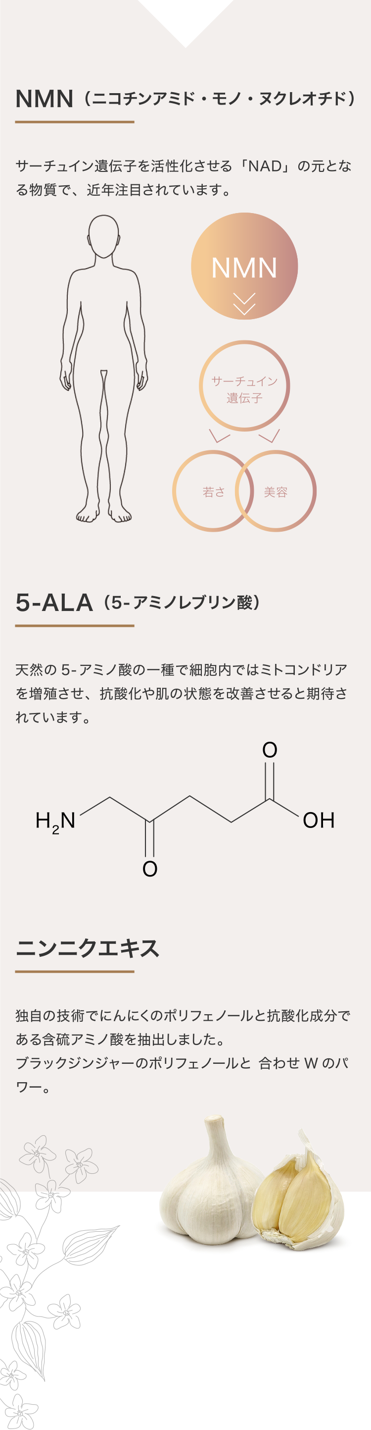 NMN（ニコチンアミド・モノ・ヌクレオチド）・5-ALA（5-アミノレブリン酸）・ニンニクエキス